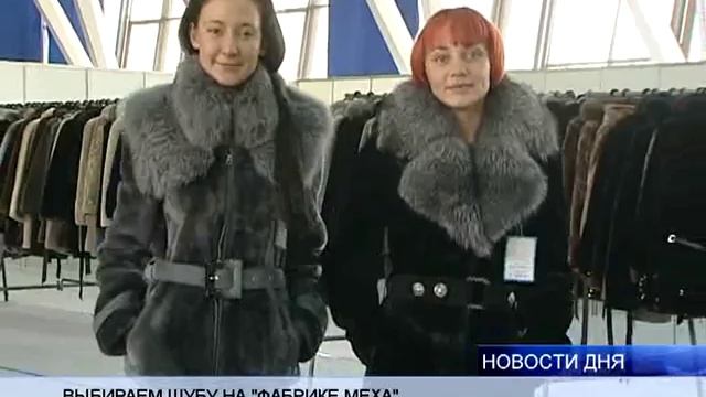 фест шуб avi смотреть онлайн