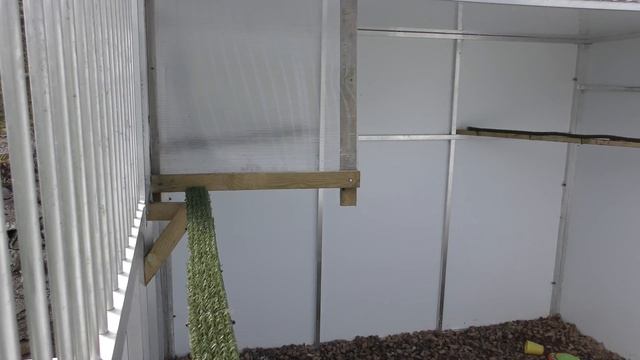 Fable The Raven | Raven Speaks And Sings...hidden Camera!