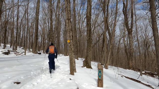 У Нас Опять Приключения. Северная Каролина. Elk Knob State Park смотреть онлайн