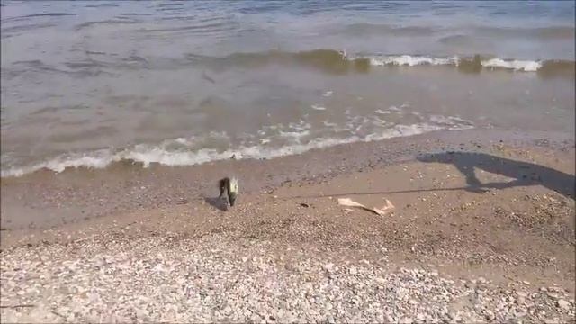 Прекрасная рыбалка Судак Канада смотреть онлайн