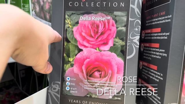 Costco - Spring Bulbs, Bare Roots, & Tubers! 🌷 || What They Have, What I've Grown, & What I Bought смотреть онлайн