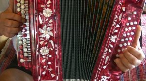 Черная смородина. Видеоразбор(цифры) на гармони.