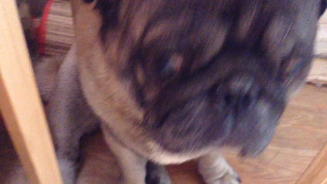 Who's there? смотреть онлайн