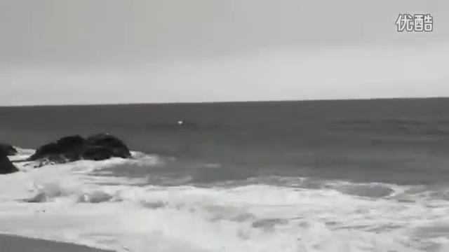 SWISSWIN,swissgear big sale promotion смотреть онлайн