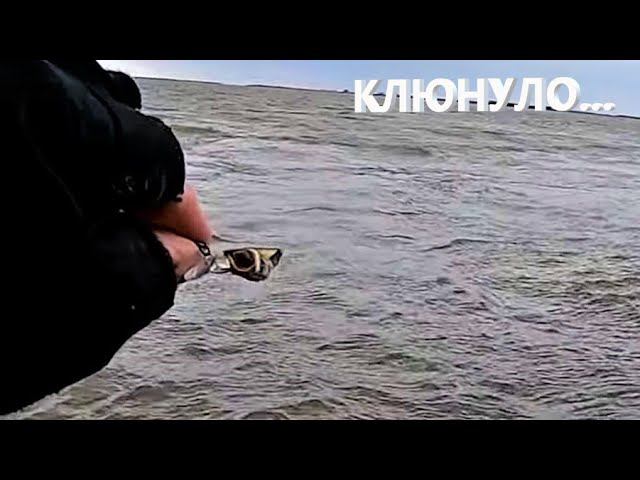 Клюнуло... Рыбалка на спиннинг. Рыбалка на Амуре. смотреть онлайн