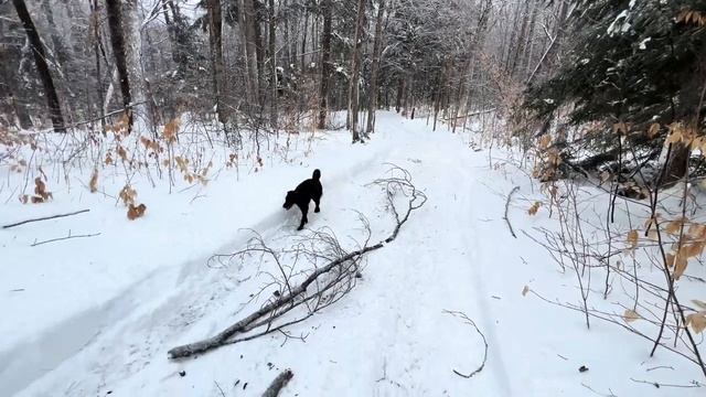The Off Grid cabin - winter is here!!! смотреть онлайн
