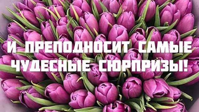 С ДНЁМ РОЖДЕНИЯ, ДАРЬЯ! ? ПОЗДРАВЛЕНИЕ С ДНЁМ РОЖДЕНИЯ ДЛЯ ДАШИ ? ОЧЕНЬ КРАСИВОЕ ПОЗДРАВЛЕНИЕ ? смотреть онлайн