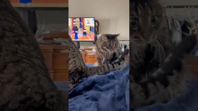что там смотреть онлайн