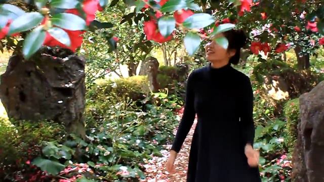 Korea JEJU - CAMELLIA HILL смотреть онлайн