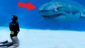 Счастливчики, Которым ОЧЕНЬ Сильно Повезло