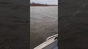 GPS якорь Sea -pro 65lb электромотор работа при сильном ветре.