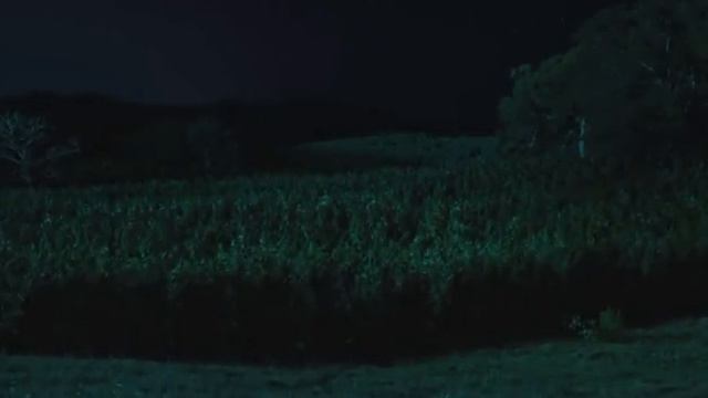 Ted 2 - Weed Scene смотреть онлайн