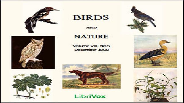 Birds and Nature, Vol. VIII, No 5, December 1900 | Various | Nature | Talkingbook | English смотреть онлайн