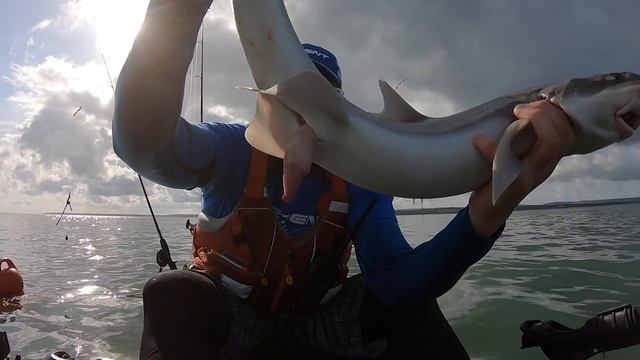 Stingray Fun - Light Gear - Kayak Fishing - Lymington - How to catch Stingray смотреть онлайн