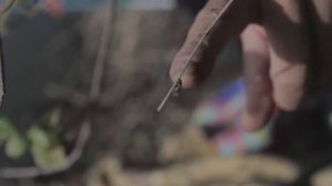 Малые реки Черноземья. Сезон 2. Выпуск 10 HD