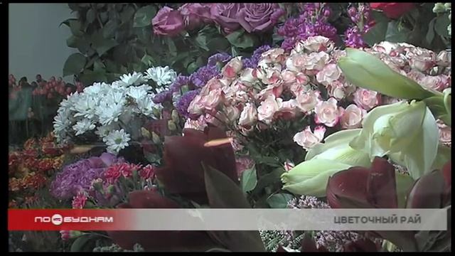 1,5 тысячи рублей в среднем отдают за букет цветов к 8 марта мужчины в Иркутской области смотреть онлайн