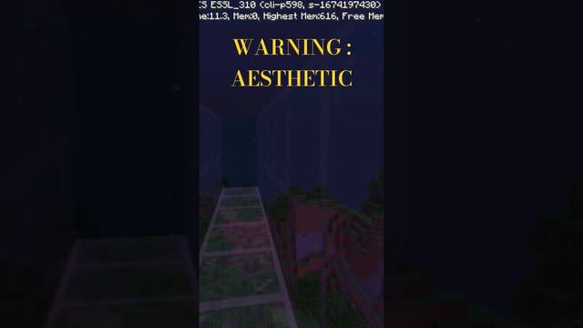 Осторожно : Эстетично Warning : Aesthetic #minecraft #brawlstars #roblox #logic #herobrine смотреть онлайн