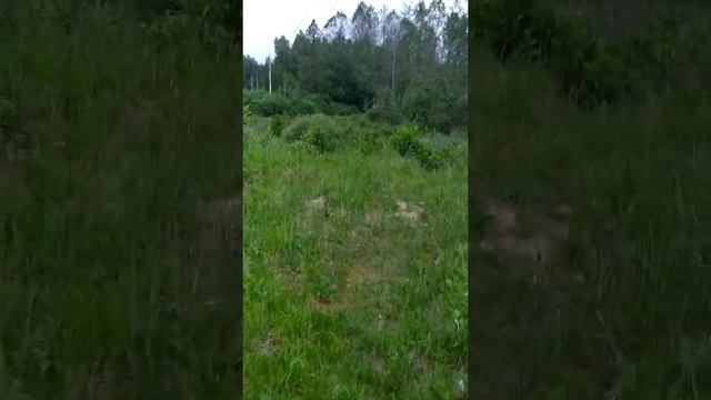 Прогулка перед сном смотреть онлайн