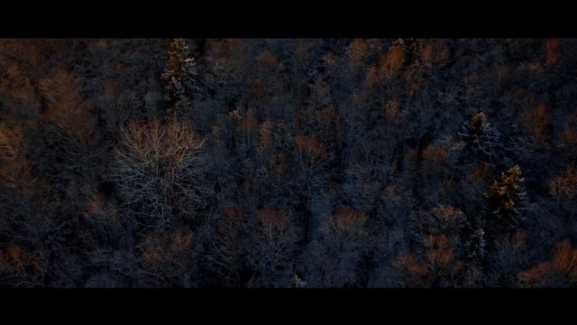 Январский вечер в Зверинце смотреть онлайн