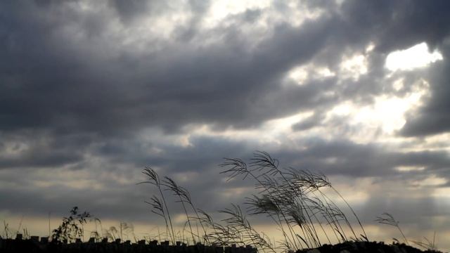 SAMSUNG NX200 Full HD Sample Movie 2 смотреть онлайн