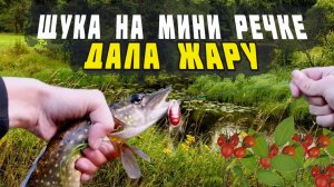Рыбалка на мини речке. За щукой на зорьке.