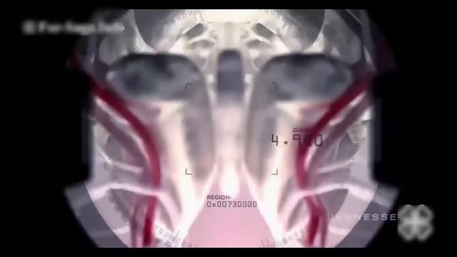 ZEN BODY презентация за 2,5 минуты на Русском mp4 смотреть онлайн
