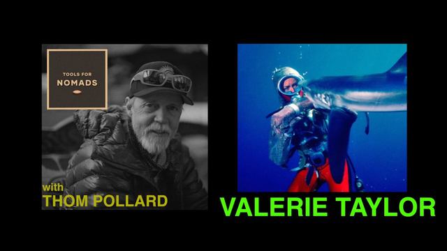 Valerie Taylor - She Plays With Sharks - New Biographical Film смотреть онлайн