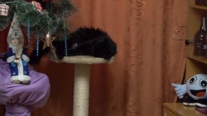 VLOG НАШ НОВЫЙ ГОД 2022