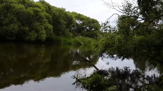 На рыбалке на реке Свислочь смотреть онлайн