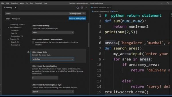 # 10 Cursor Setting Visual Studio Code