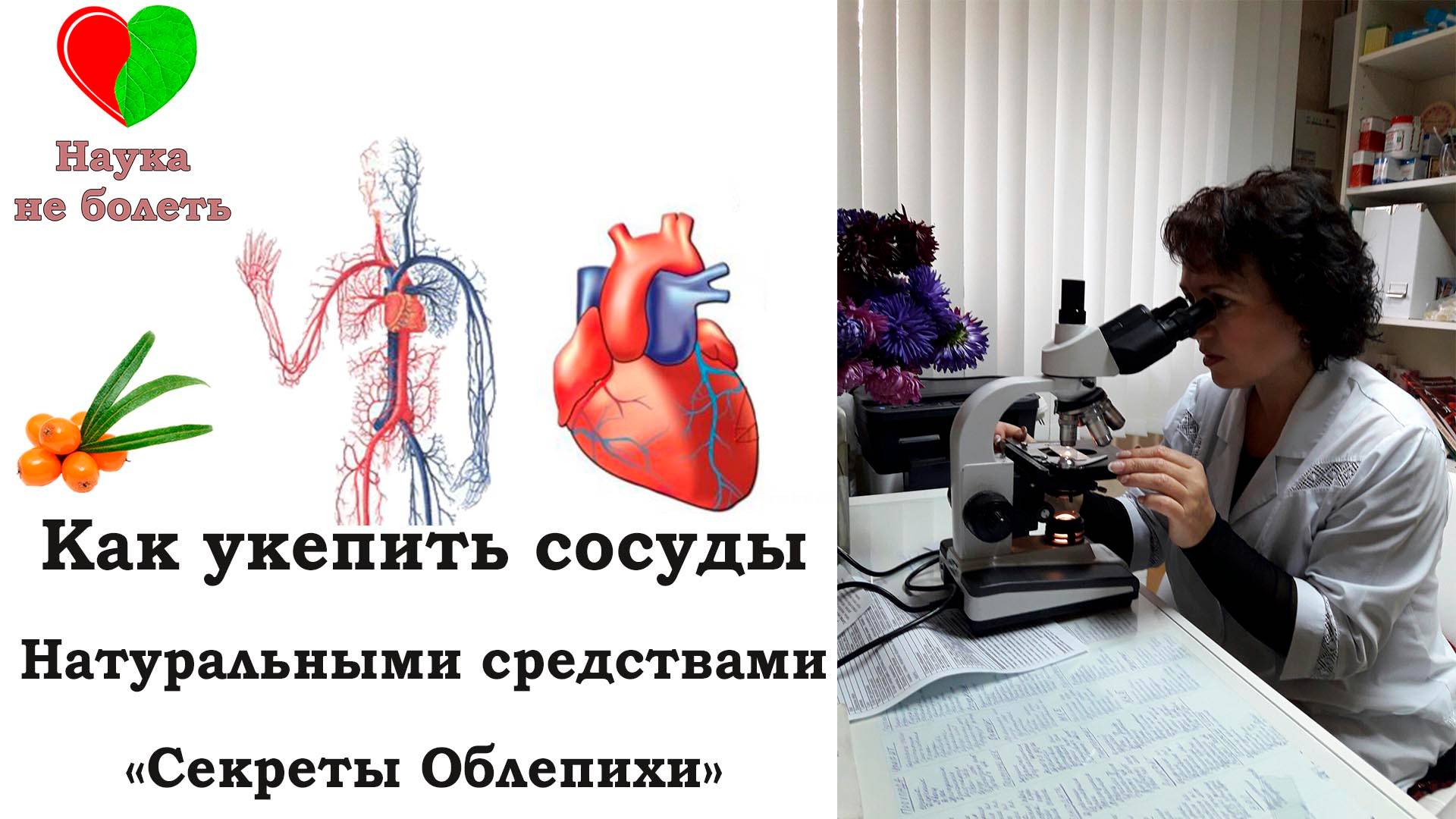 КАК УКРЕПИТЬ СОСУДЫ - - СЕКРЕТЫ ОБЛЕПИХИ - - ЛЕЧЕНИЕ ВАРИКОЗА НАРОДНЫМИ МЕТОДАМИ смотреть онлайн