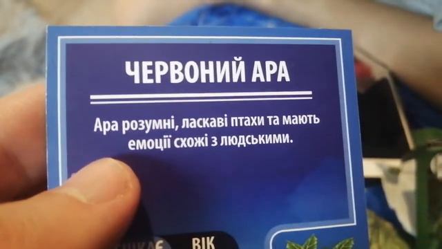 Акция варус зверокуб дикие животные, соберём 5 наклеек, отправим карточки подписчикам. смотреть онлайн