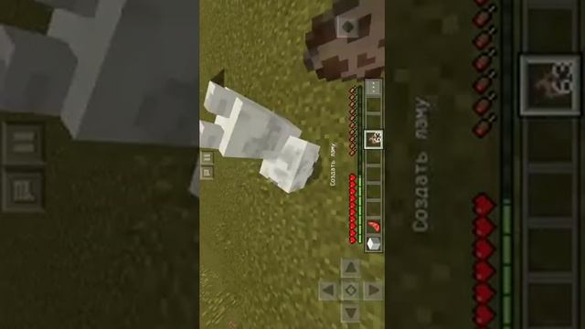 Топ 5 команд для майнкрафт и 1 факт о животных смотреть онлайн