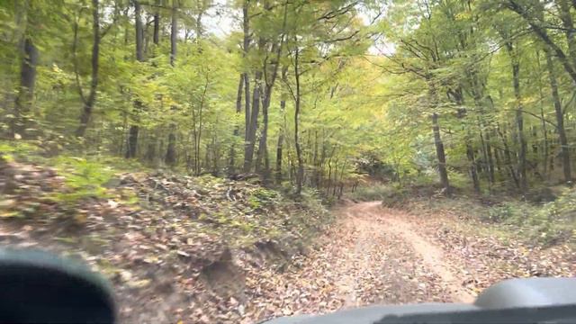 Orfű - Pécs Offroad - Mitsubishi L200 2.5 TD GLS 4WD (2006)