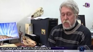 Карадагское чудовище в Крыму  Карадагский змей