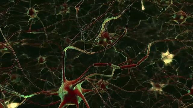 Does Mozart really make you smarter? Classical Music for Brain Power by Mozart смотреть онлайн