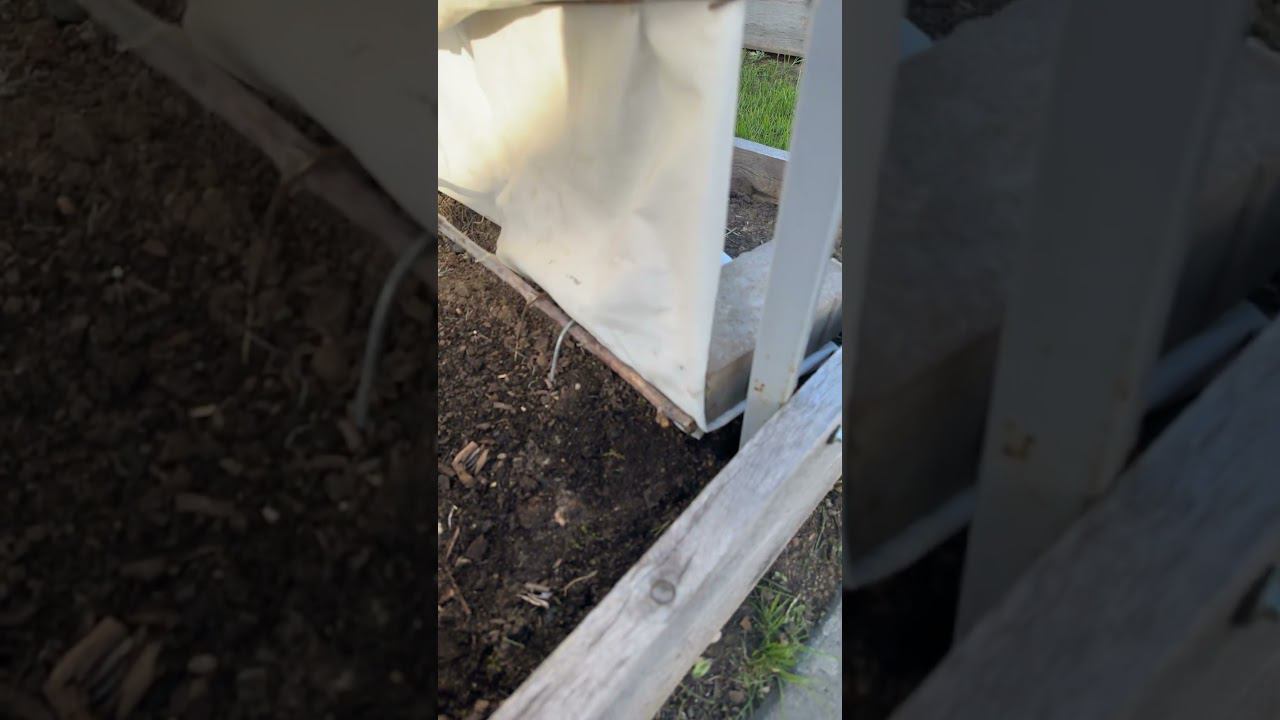 6 мая 2023 г. смотреть онлайн