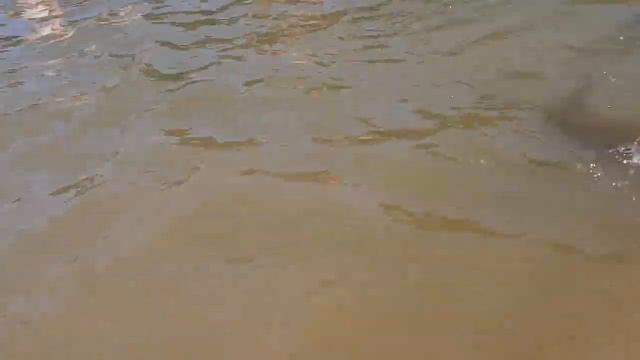 Пруд Тропарево пляж на Теплом Стане 2021 июль начало 2 смотреть онлайн