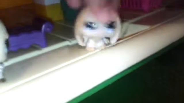 Правда или действие 1 действие и 3 правды смотреть онлайн