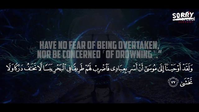 Taha смотреть онлайн