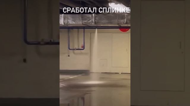 В сочинском торговом центре сработала пожарная сигнализация смотреть онлайн