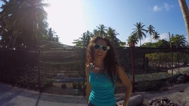 un paseo por Maldivas | isla Mathiveri смотреть онлайн
