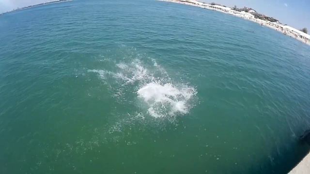 Жёсткие прыжки в воду_поездка на море смотреть онлайн