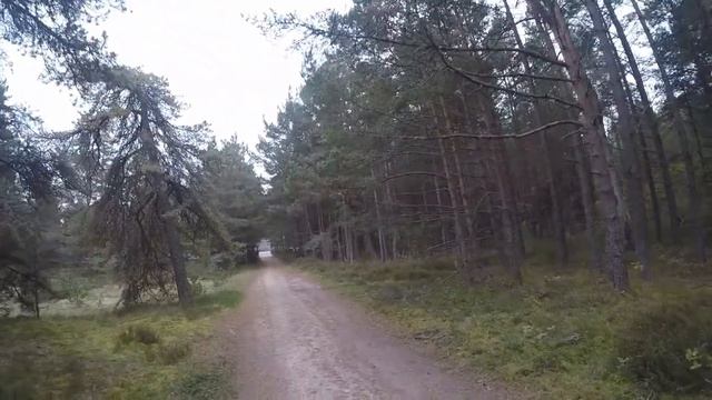 Отель, первая линия у моря, где ваш слух ласкает прибой, а взгляд - изумительные рассветы и закаты. смотреть онлайн