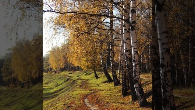С. Есенин Не жалею, не зову, не плачу... смотреть онлайн