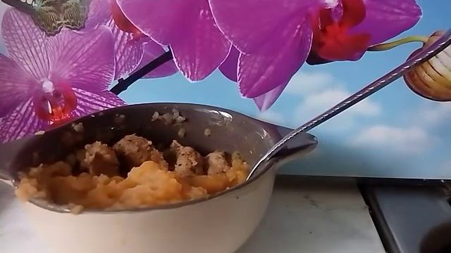 ТОПИНАМБУР - РЕЦЕПТ И НЕТ САХАРНОГО ДИАБЕТА 18.04.2017 смотреть онлайн