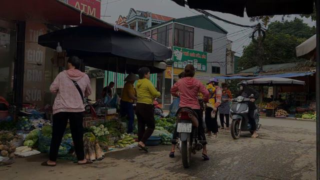 Pregnant woman harvests vegetable garden to sell at market - Daily life | Mến Vinh Farm Life