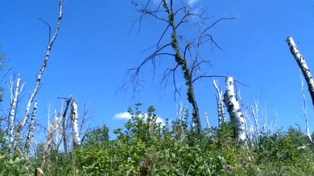 Таинственное место, в котором лучше не оказываться! Медведицкая гряда. смотреть онлайн