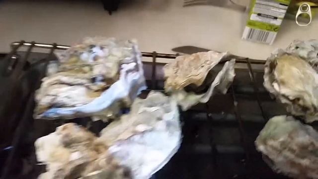 Готовим устрицы на электрическом гриле дома. Ждем пока раскроются. Часть 1 смотреть онлайн