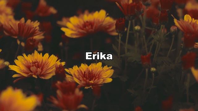 Erika marcha militar alemana sub español Herms Niel 2 смотреть онлайн